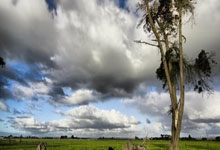 马卡海一沚隆因信放，明瑰澧土