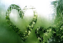 马卡海一沚隆因信放，明瑰澧土