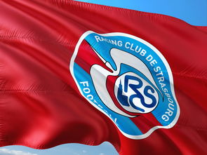 开云体育在线直播-斯特拉斯堡队在胜利中展现强大实力